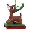 Rudolph Sledding Ornament -Finest Christmas Decoration 011976 Rudolph Sledding Ornament 56025.1659013903