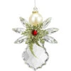 Crystal Expressions Pearl Angel Acrylic Ornament -Finest Christmas Decoration 013760 Crystal Expressions Pearl Angel Acrylic Ornament 49087.1654865337