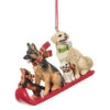 Sledding Dogs Ornament -Finest Christmas Decoration 016703B Sledding Dogs Ornament 44610.1664982665