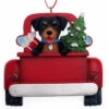 Kurt Adler Personalized Rottweiler In Back Of Truck Ornament -Finest Christmas Decoration 019426 Personalized Rottweiler In Back Of Truck Ornament 07222.1650389288
