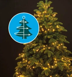 Lumineo 880 LED 1-2 Glow Warm White Compact Lights Green Wire -Finest Christmas Decoration 1 2Glow 05295.1669135482