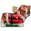 Old World Christmas - Holly Hat Corgi Puppy Ornament -Finest Christmas Decoration 124 Untitled design 14936.1649425121