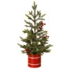 Mini Christmas Tree In Red Box -Finest Christmas Decoration 1572 Untitled design 38116.1687161446