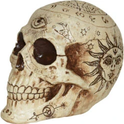 Fortune Telling Skull