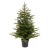 35.5 Inch Unlit Grandis Pine Potted Tree 1 35.5 Inch Unlit Grandis Pine Potted Tree -Finest Christmas Decoration 35.5 Inch Unlit Grandis Pine Potted Tree 85684.1693329963