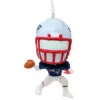 Hallmark New England Patriots Bobble Head Ornament 2 Hallmark New England Patriots Bobble Head Ornament -Finest Christmas Decoration 531610 New England Patriots Bobble Head Ornament 06288.1666203405