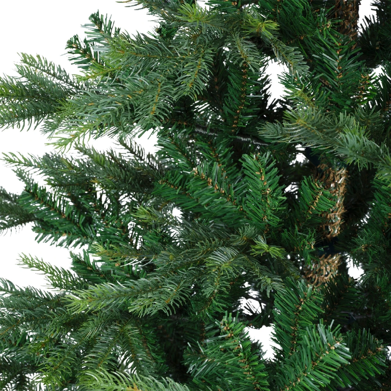 5 Foot Grandis Fir Unlit Christmas Tree 5 5 Foot Grandis Fir Unlit Christmas Tree - Image 3