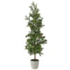 36" Pencil Princess Pine Tree In A Cement Pot 2 36" Pencil Princess Pine Tree In A Cement Pot -Finest Christmas Decoration 663 Untitled design 63589.1658318828