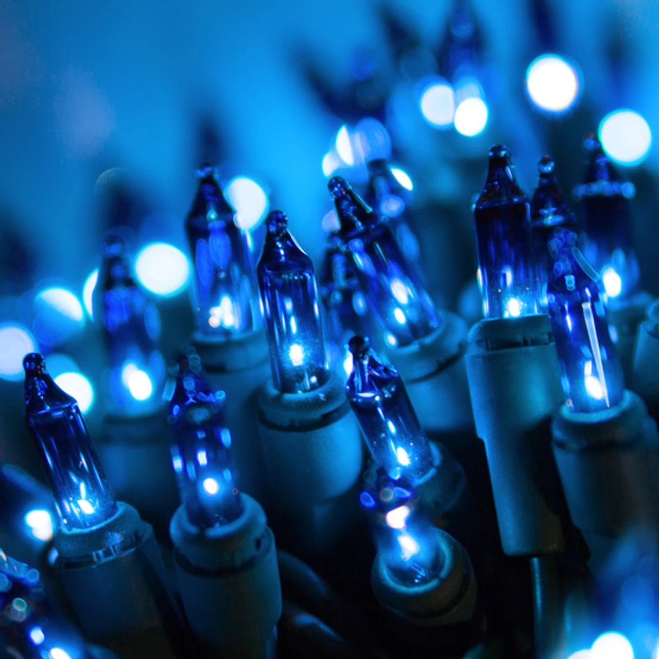 50 LED Blue Incandescent Style Lights Green Wire 4 50 LED Blue Incandescent Style Lights Green Wire - Image 2
