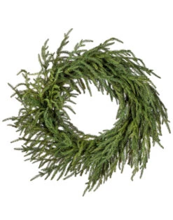 24" Just Cut Norfolk Pine Wreath