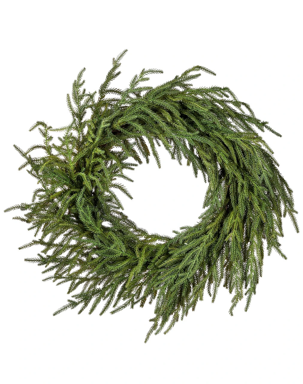 24" Just Cut Norfolk Pine Wreath 3 24" Just Cut Norfolk Pine Wreath