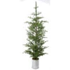 92" Galvanize Potted Natural Touch Nobel Fir Tree 1 92" Galvanize Potted Natural Touch Nobel Fir Tree -Finest Christmas Decoration MTX61243 NAGR 71466.1604159597