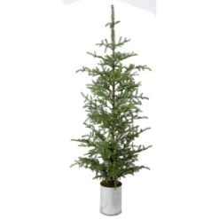 92" Galvanize Potted Natural Touch Nobel Fir Tree