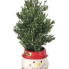 10.5" Cedar Tree In Snowman Container -Finest Christmas Decoration NoIpjDow 57400.1617020010