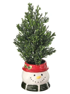 10.5" Cedar Tree In Snowman Container