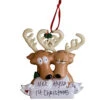 Personalized Reindeer Couple In Love Ornament -Finest Christmas Decoration RM6 2 2 reindeer couple 2 83261.1470240712