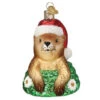 Santa Groundhog Ornament 2 Santa Groundhog Ornament -Finest Christmas Decoration Santa Groundhog ornament 08181.1679685536