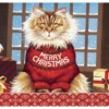 Squeaky’s Christmas Boxed Christmas Cards -Finest Christmas Decoration Squeaky1 92675.1605326397