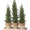 Triple Potted Pine Seedling Tray 1 Triple Potted Pine Seedling Tray -Finest Christmas Decoration TuSjZ6Ag 19724.1614865246