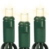 50 Light 5MM Wide Angle LED Frosted Warm White Lights Green Wire 1 50 Light 5MM Wide Angle LED Frosted Warm White Lights Green Wire -Finest Christmas Decoration WARM WHITE FROST LED 64148.1636663890