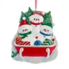 Kurt Adler Personalized Snowman Family Of 3 On Sled Ornament -Finest Christmas Decoration a2094 59071.1626695747