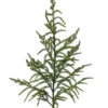 38" Artificial Norfolk Pine Spray -Finest Christmas Decoration j7ZsPj3A 40839.1614789124